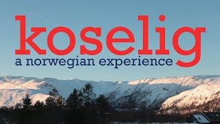 koselig a norwegian experience 🇳🇴 [upl. by Ahsitan]