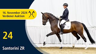 No 24 Santorini ZR by Sandro Hit  Royal Diamond  Verden Auction Online  Horses  November 16th [upl. by Freed]