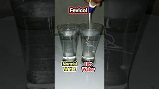 Fevicol Hot amp Normal Water Experiment experiment gogoexperiment easyscienceexperiments goofys08 [upl. by Harberd360]