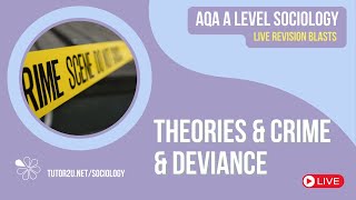 Theories of Crime amp Deviance  AQA A Level Sociology Revision for 2024 [upl. by Akkina]