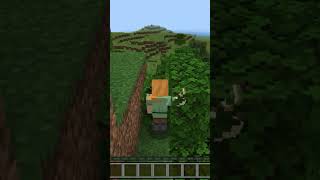 22nd October 2024 as Minecraft seed  Completely plain  minecraft shorts [upl. by Peers825]