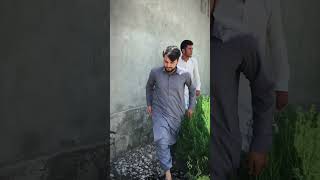 Dew😂🤣 boysvines vines funny comedy okvines funnycomedy highlights mobin ur pashto love [upl. by Anders398]