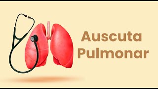 Ausculta pulmonar  Sons pulmonares anormais [upl. by Nera]