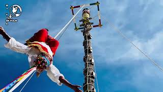 VOLADORES DE PAPANTLA EN EL ESTADO DE VERACRUZ EN MÉXICO [upl. by Willette]