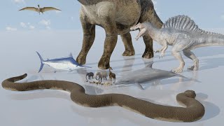 Animals Size Comparison  3D Animation Comparison 2024 60 FPS [upl. by Joseph]