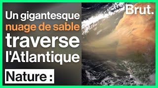 Du Sahara à lAmérique le plus grand nuage de sable jamais enregistré traverse lAtlantique [upl. by Nomde]