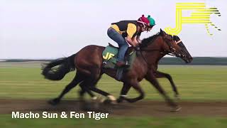 Newmarket Gallops 200724  Julia Feilden Racing [upl. by Allista]