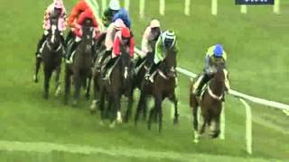 Cheltenham 2012 Stan James Champion Hurdle Challenge Trophy  Rock On Ruby [upl. by Anayhd]