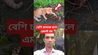 বেশি চালাক হলে কি হয় দেখুন viralvideos funny reels shorts [upl. by Yltneb]