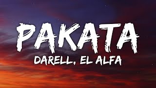 Darell El Alfa  PAKATA [upl. by Ahearn]