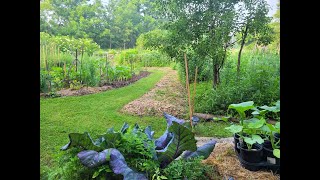 Permaculture and NatureGuided Design Q amp A PART 1 of Creating a PERMACULTURE FOOD FOREST [upl. by Elorac]