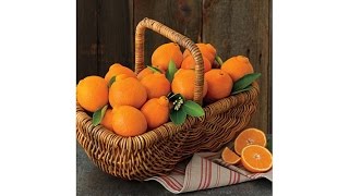 Hale Groves 9 to 94 lb Honeybell Citrus Tray [upl. by Holbrooke30]