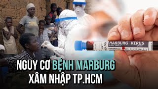 Bệnh Marburg nguy hiểm có nguy cơ xâm nhập TPHCM hay không [upl. by Shira770]