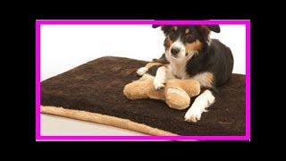 Hundebetten Test Kuschelmatte Visko deLuxe [upl. by Aniez]