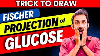 TrickHow to draw Fischer Projection of Glucose  How to draw Structure of Glucose  D amp L Glucose [upl. by Anitsihc]