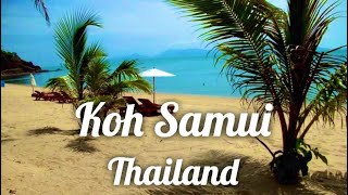 Koh Samui Thailand VLog part 2 [upl. by Hullda]