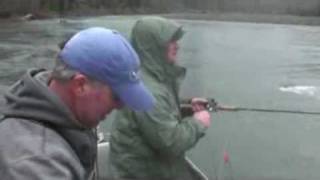 Hoh River Washington Steelhead Fishing [upl. by Legim]