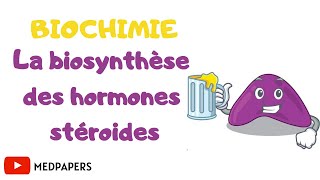 biochimie la biosynthèse des hormones stéroïdes [upl. by Hogen]