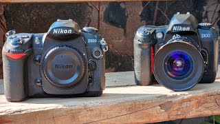 CCD Classics Nikon D100 and D200 today [upl. by Edythe]