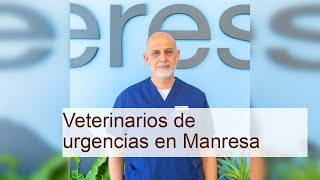 Descubre a los Veterinarios de Urgencias en Manresa Cuidado Animal 247 [upl. by Yeclek564]