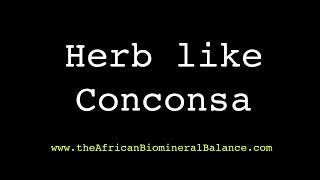 DR SEBI  A HERB SIMILAR TO CONCONSA [upl. by China474]