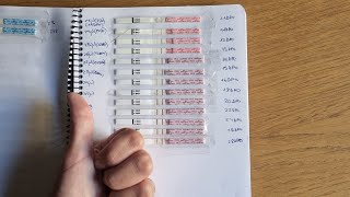 Tests de ovulación y predicción de embarazo progreso tests de embarazo Pico y positivo [upl. by Jeffie]