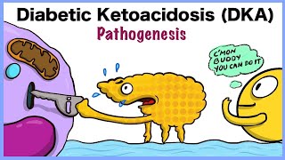 Diabetic Ketoacidosis DKA Pathogenesis [upl. by Violante392]