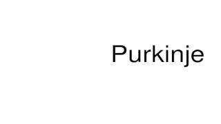 How to pronounce Purkinje [upl. by Jehiah]