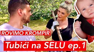 Tubici na SELU ep1 Rovimo KROMPIR  PRVI PUT NA NJIVI [upl. by Sev]