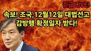 속보 조국12월12일 대법선고 감방날 확정 [upl. by Ycrep693]