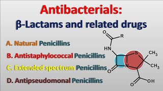 Antibacterials  Betalactam antibiotics and related drugs [upl. by Fonzie]