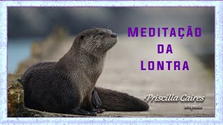 Meditação da Lontra [upl. by Lessirg853]