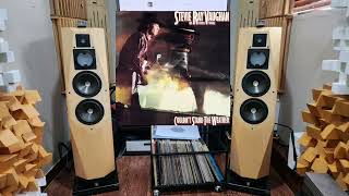 Tin Pan Alley  Stevie Ray Vaughan vinyl [upl. by Havens]