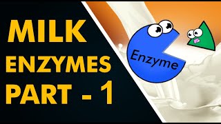 Milk Enzymes  Part 1 [upl. by Temhem]