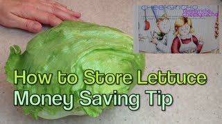 How to store a Lettuce Money Saving Home Hint cheekyricho [upl. by Yaker11]