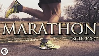 The Science of Marathon Running [upl. by Amle]