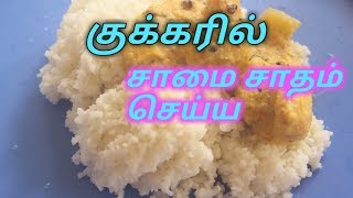 சாமை சாதம் குக்கரில் செய்வது எப்படிhow to cook Samai millets in cooker [upl. by Oiredised]