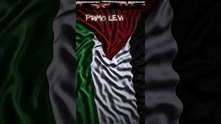 primolevi guerra palestina shorts citazioni shortsvideo frasiuniche aforismi [upl. by Anelrahs372]