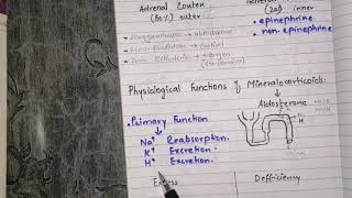 Physiological functions of adrenocortical hormones functions of aldosterone [upl. by Weinstein774]