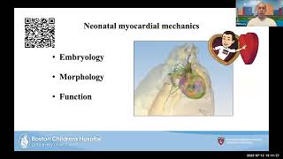 Introduction to Neonatal Hemodynamics Basic Cardiac Anatomy and Ultrasound Concepts [upl. by Aratehs502]