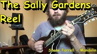 The Sally Gardens Irish Reel  Mandolin [upl. by Saxen]