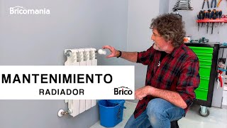 Cómo PURGAR los radiadores y su MANTENIMIENTO de manera profesional 👨‍🔧💡 ¡Fácil y Rápido Bricomanía [upl. by Richardo226]