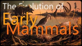 The Evolution of Early Mammals [upl. by Millwater]