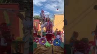 Bebés voladores de Papantla shorts [upl. by Lazos]