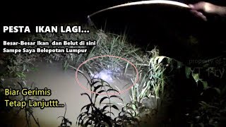 NAJUR MALAM SAAT GERIMIS Dapat Lele Besar dan Belut  Pesta Strike Lagi [upl. by Neerhtak961]