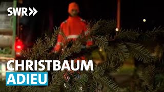 Wohin mit der Tanne nach Weihnachten  SWR Aktuell [upl. by Plante747]