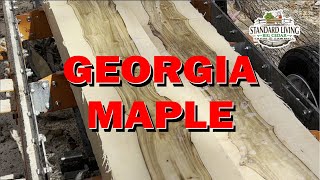 Sawmilling Sweet Georgia Sugar Maple [upl. by Akihsal340]