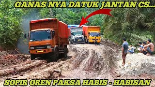 Sejarah Baru❗Semua Sopir Fuso Oren Di Buat Putus Asa Ketika Melihat Truk Hino 235 Lolos Di Lumpur [upl. by Imaon]