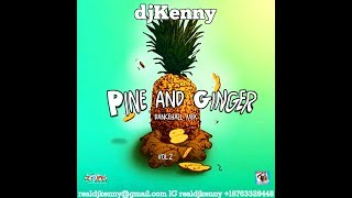 DJ KENNY PINE AND GINGER DANCEHALL MIX VOL 2 DEC 2017 [upl. by Ball634]