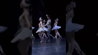 The Swan Lake Marianela Nunez amp Kimin Kim 김기민 [upl. by Houlberg]